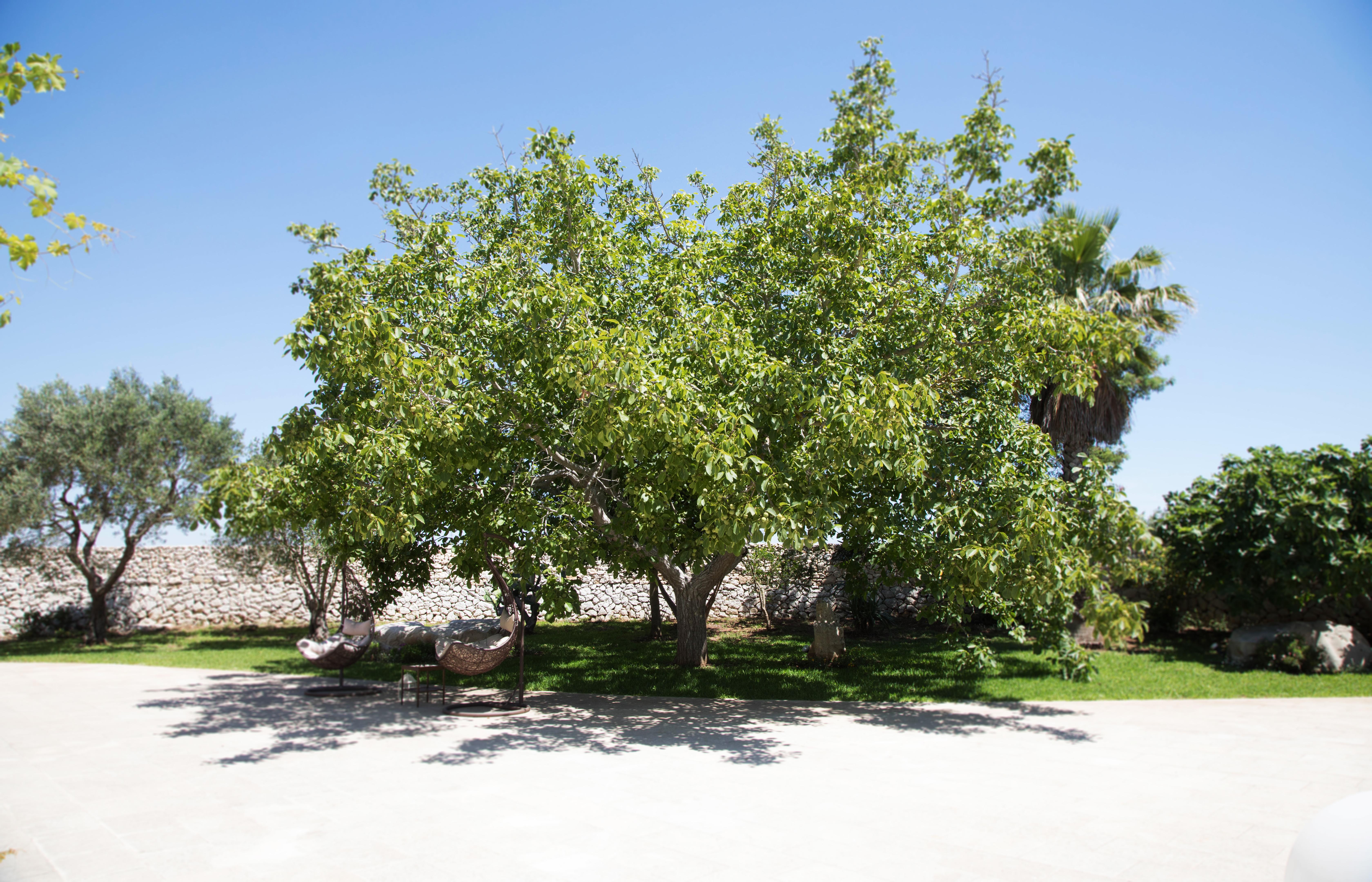 Don Agostino Relais Masseria Мартано Екстериор снимка